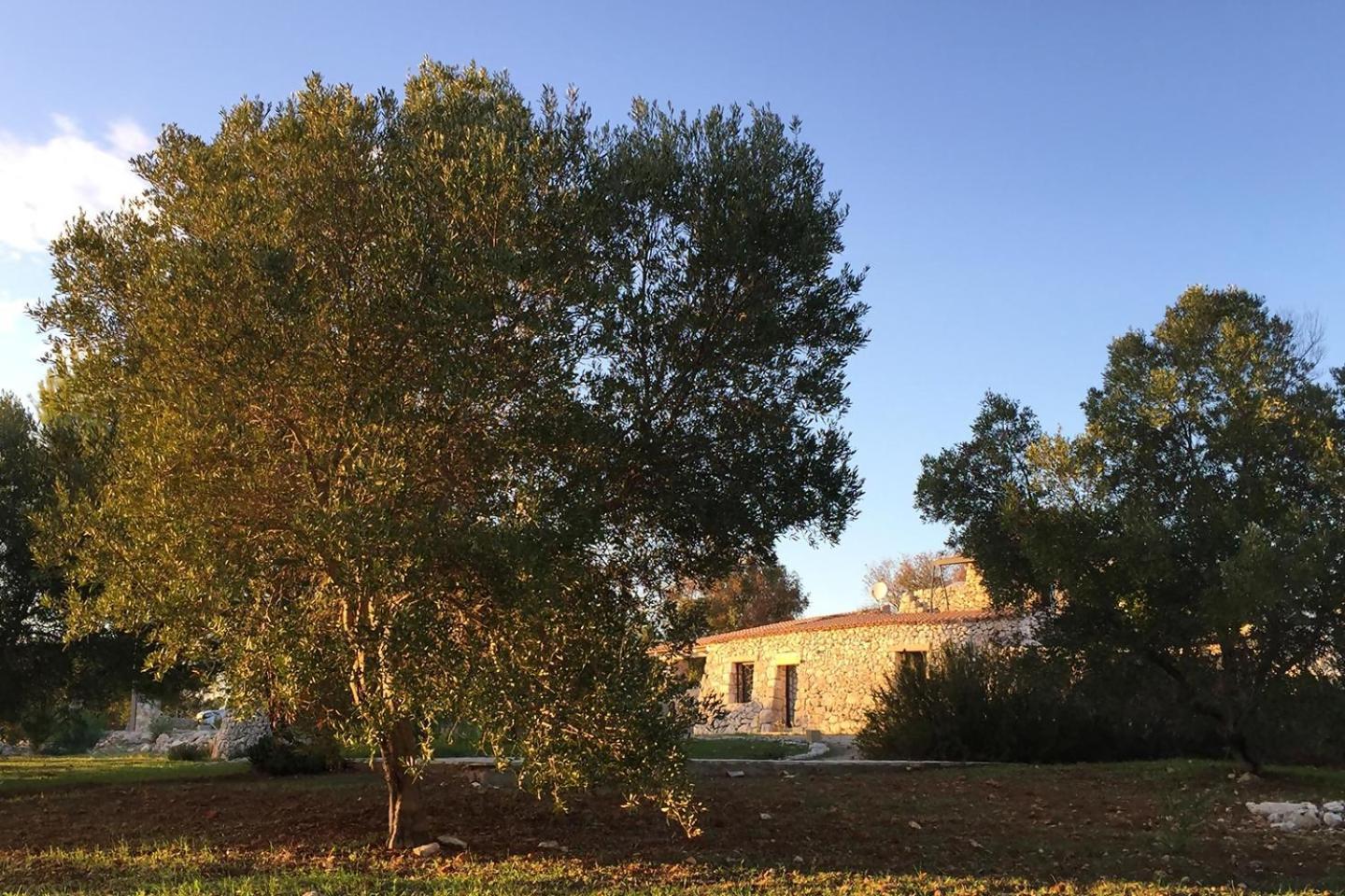 Villa Feudo Frammasi Marancio Salve Esterno foto